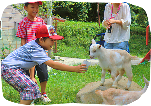 ふれあい動物園