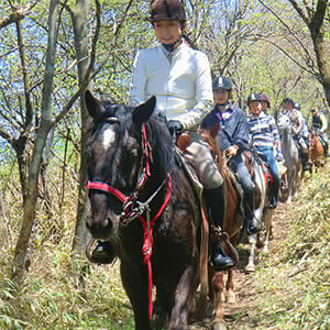 乗馬クラブ