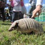 出張ふれあい動物園06