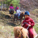 子供ポニー＆ホースキャンプ