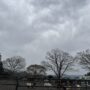 曇