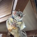 のんびり穏やかな土曜日でした。