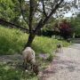 明日は雨⁈