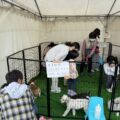 飯田ハウジングセンター