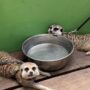 日差しはすっかり夏ですね